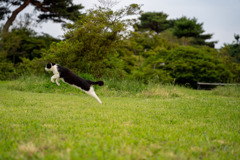飛び出す