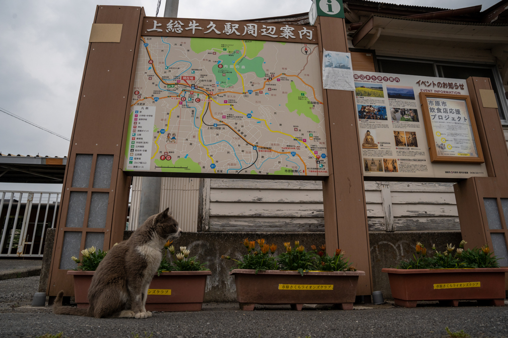 案内板