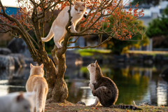 遊ぼうよ