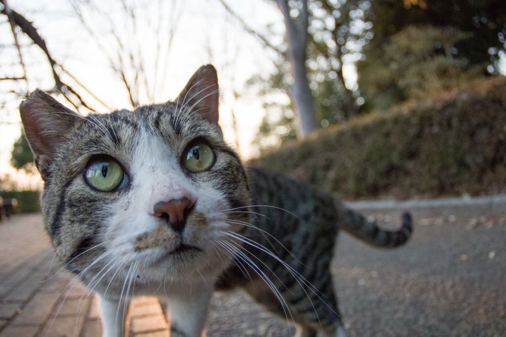 デカッ