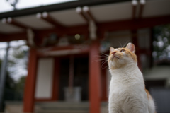 この場所が好き