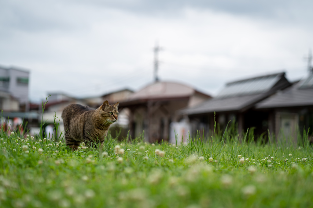 ちょっとそこまで