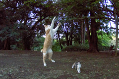 あたっく