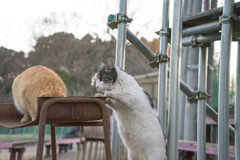 天板の無い机