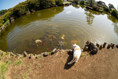 おすそ分け
