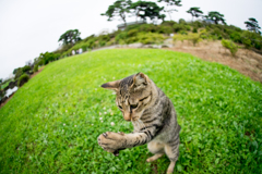 メールチェック