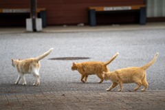 我に続け