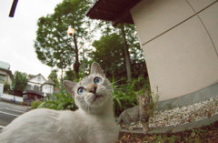 親子