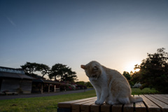 またのご来園をお待ちしています