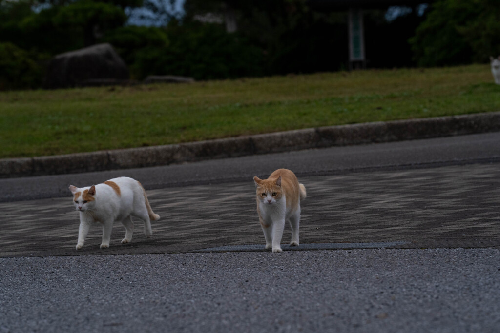 行進