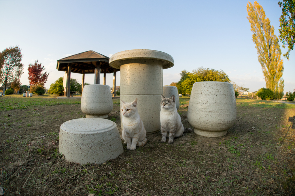 おばあちゃんといっしょ