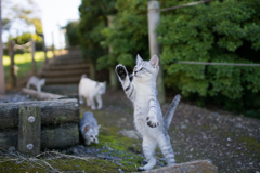 またね！