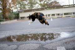 へ