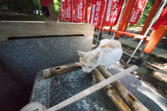 水分補給