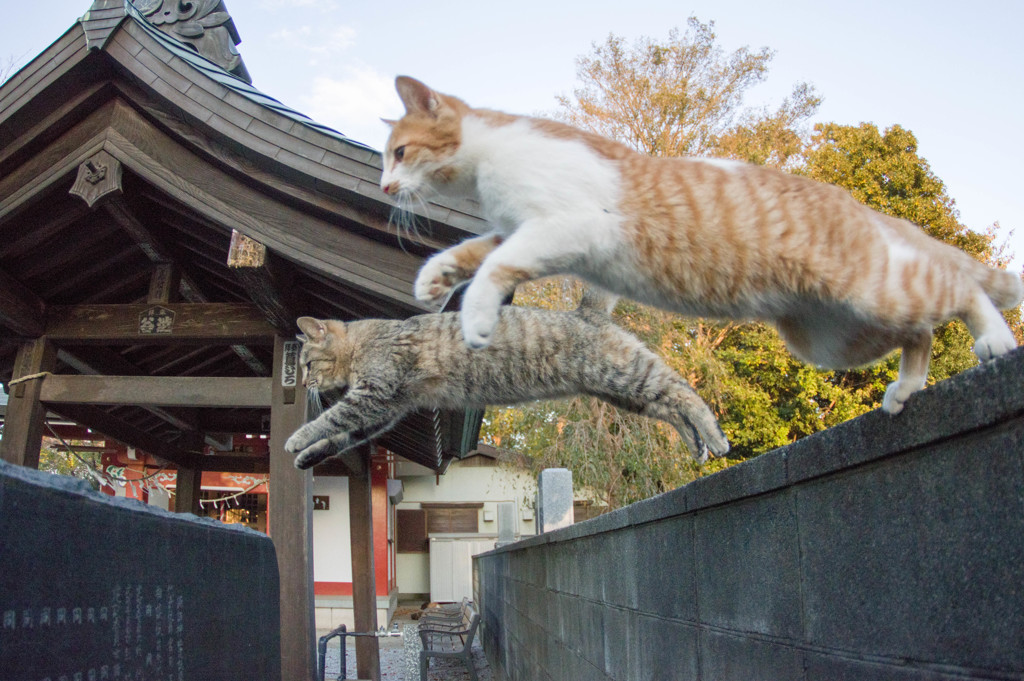 ダブルジャンプ