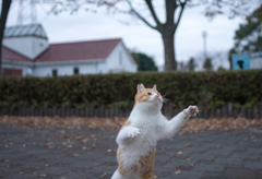 チョットマッテネ