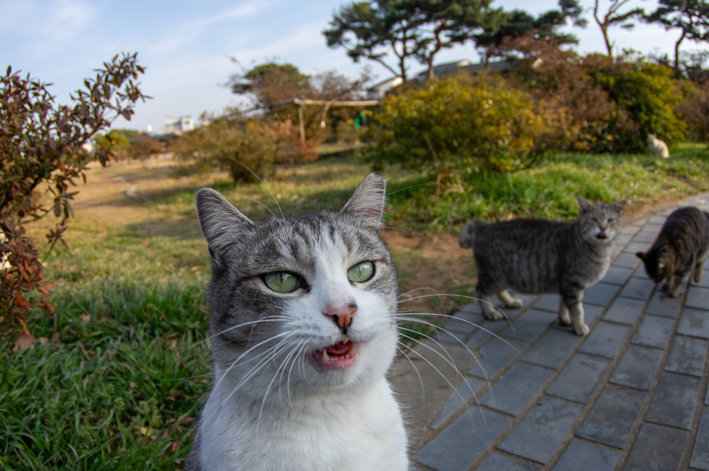 もう１本