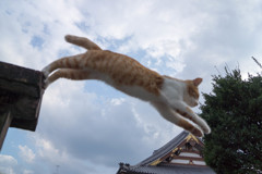 オラのじゃんぷを見てくれ2