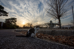 夕焼け雲