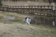 散歩１