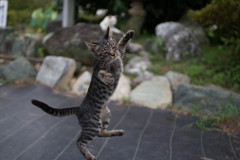 ダンス