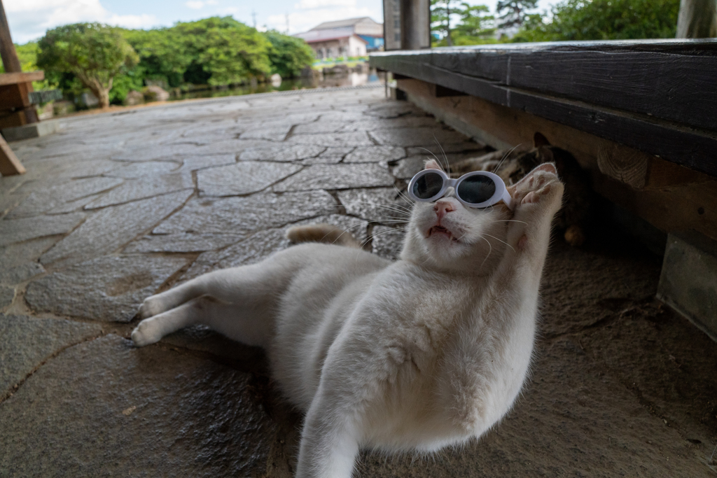 サマー・ホリデー