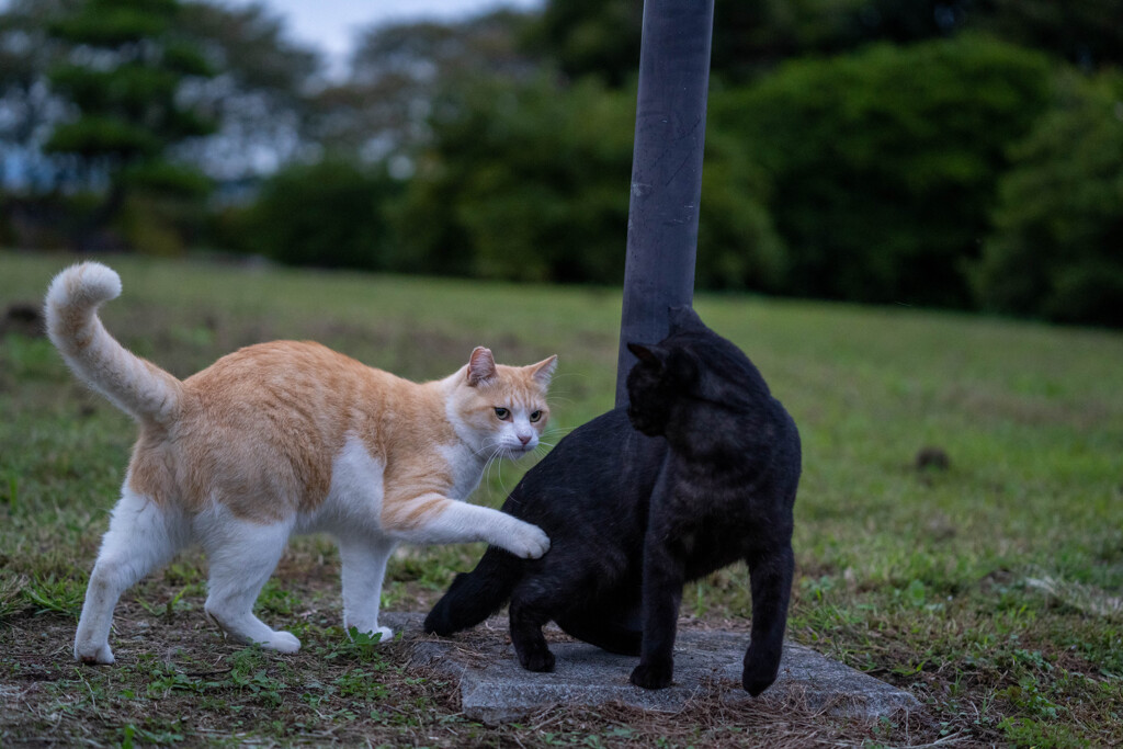 ちょっと待て