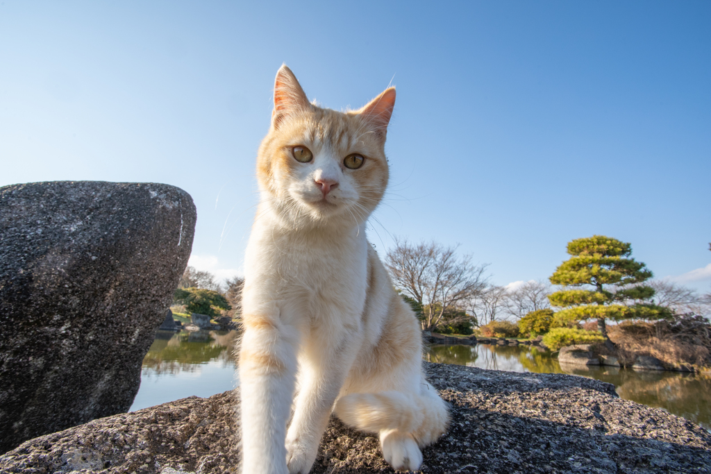 石の上にも三年