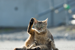 ち～す！