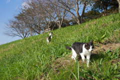 遠足
