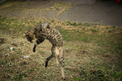 ジャンプ1