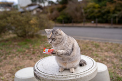 ひたすら搾る