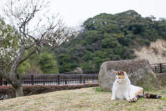 うっとり