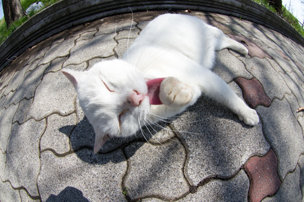 まんぞく