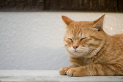 眠い
