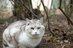 太ってませんよー