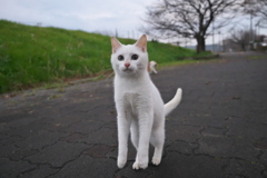 来年もよろしくお願いします