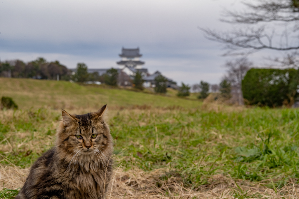 兵どもが夢のあと