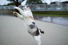 雨やんだ？