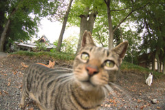 どうも！