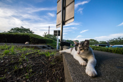 梅雨の晴れ間