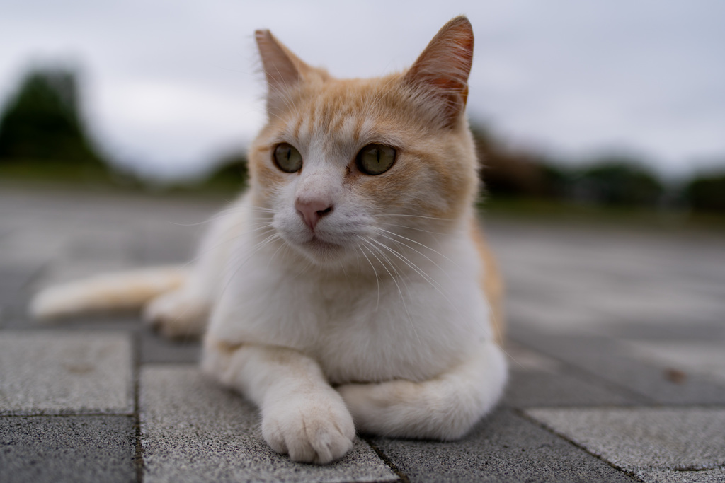 ため息２