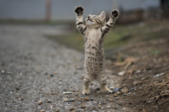 hold up!!