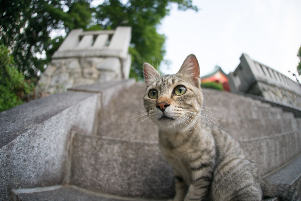 また来るよ