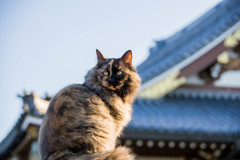 冬仕様