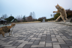 幅跳び