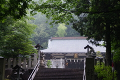 雨の神社