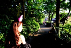 Like a Alice
