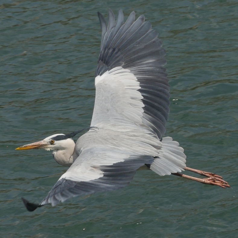 IMG_20170327_111158_298