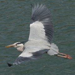 IMG_20170327_111158_298